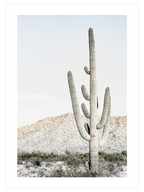 Big Cactus - Art Print