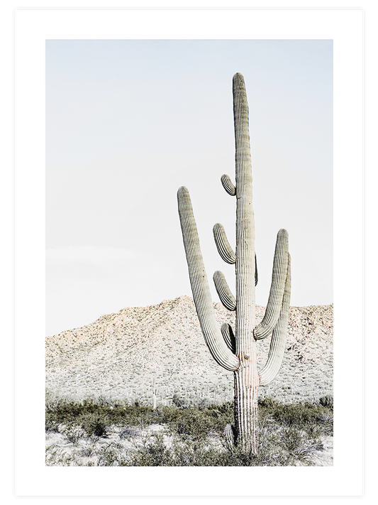 Big Cactus Poster - Giclée Baskı