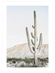 Big Cactus Poster - Giclée Baskı