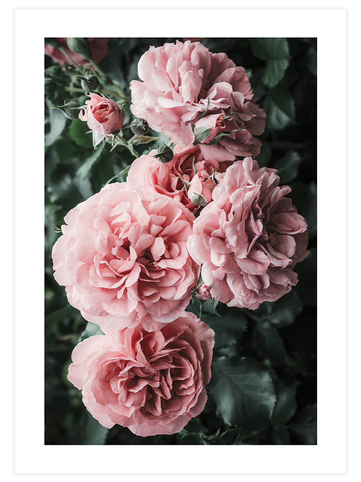 Bloom De Fleurs - Art Print Ürün ana görseli