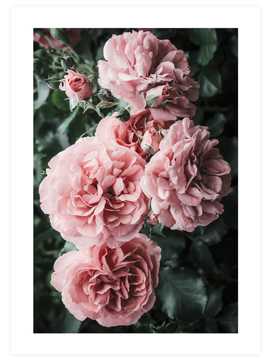 Bloom De Fleurs - Art Print