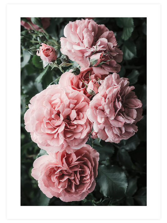 Bloom De Fleurs Poster - Giclée Baskı