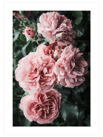 Bloom De Fleurs - Art Print