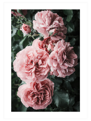 Bloom De Fleurs - Fine Art Poster