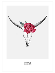 Bufflonne Coquette N1 - Fine Art Poster