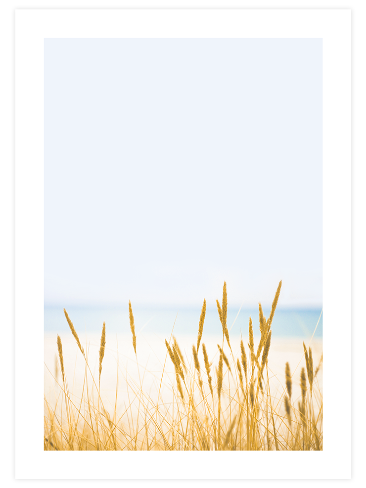 Buğday Tarlası N2 - Art Print Ürün ana görseli