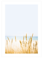 Buğday Tarlası N2 - Art Print