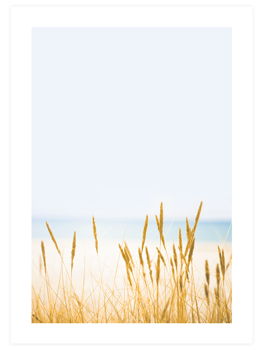 Buğday Tarlası N2 Poster - Giclée Baskı