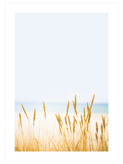 Buğday Tarlası N2 Poster - Giclée Baskı