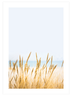 Buğday Tarlası N1 - Art Print