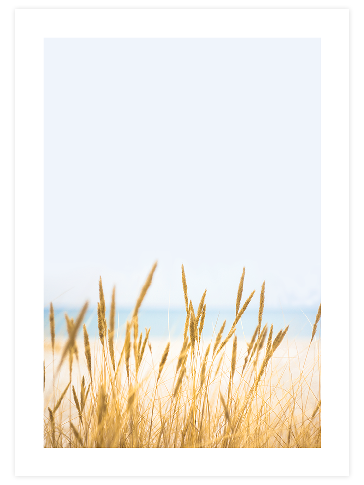 Buğday Tarlası N1 - Art Print