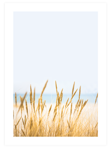 Buğday Tarlası N1 - Art Print
