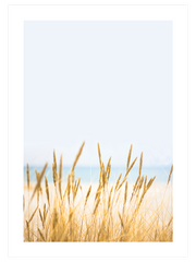 Buğday Tarlası N1 - Fine Art Poster