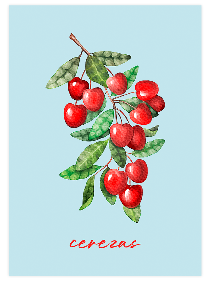 Fruity Colors - Poster Seti Duo  Poster