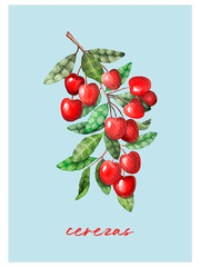 Kiraz - Fine Art Poster