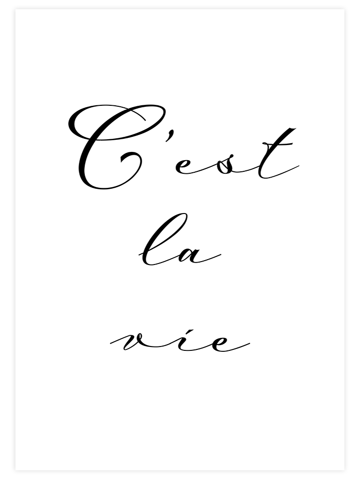 C'est La Vie - Art Print  Poster