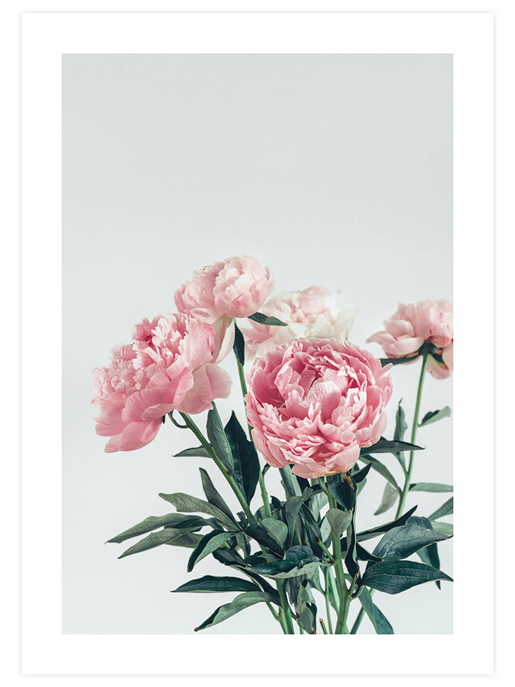 C'est Le Bouquet - Art Print Ürün ana görseli