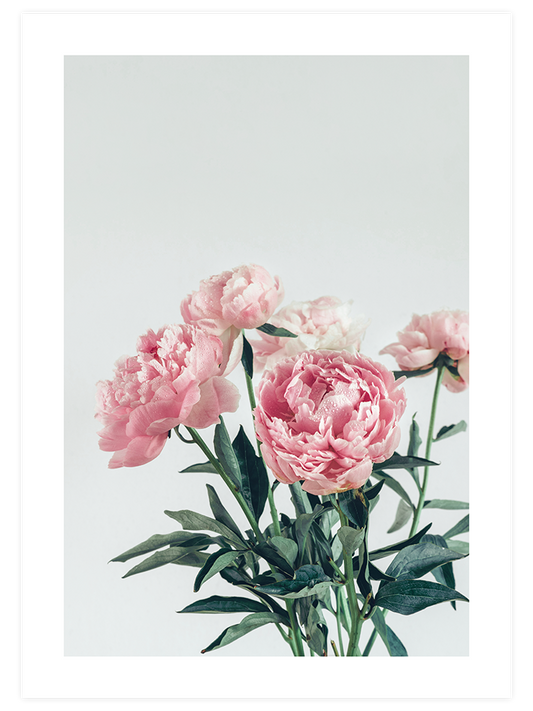 C'est Le Bouquet - Art Print