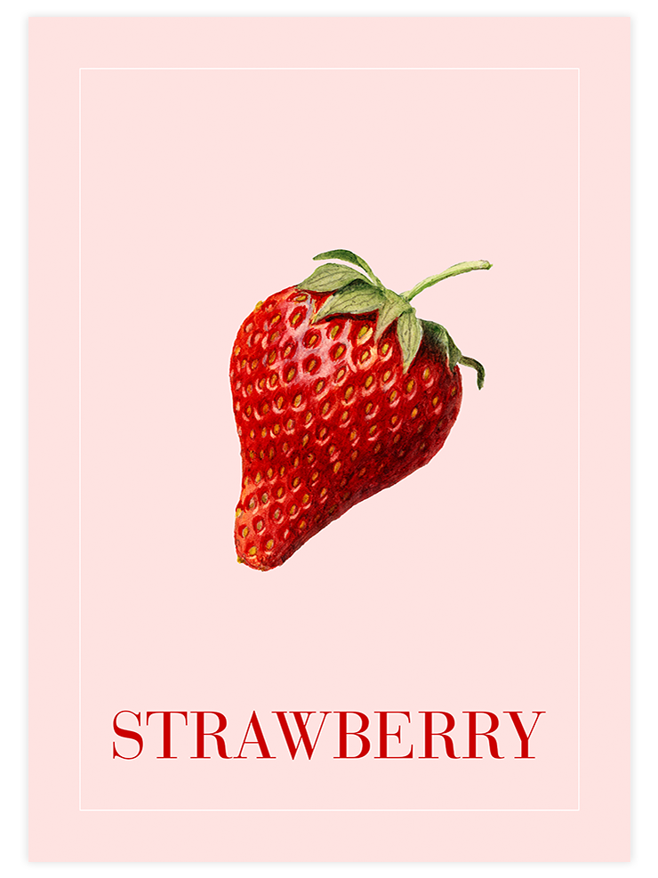 Çilek - Art Print Ürün ana görseli