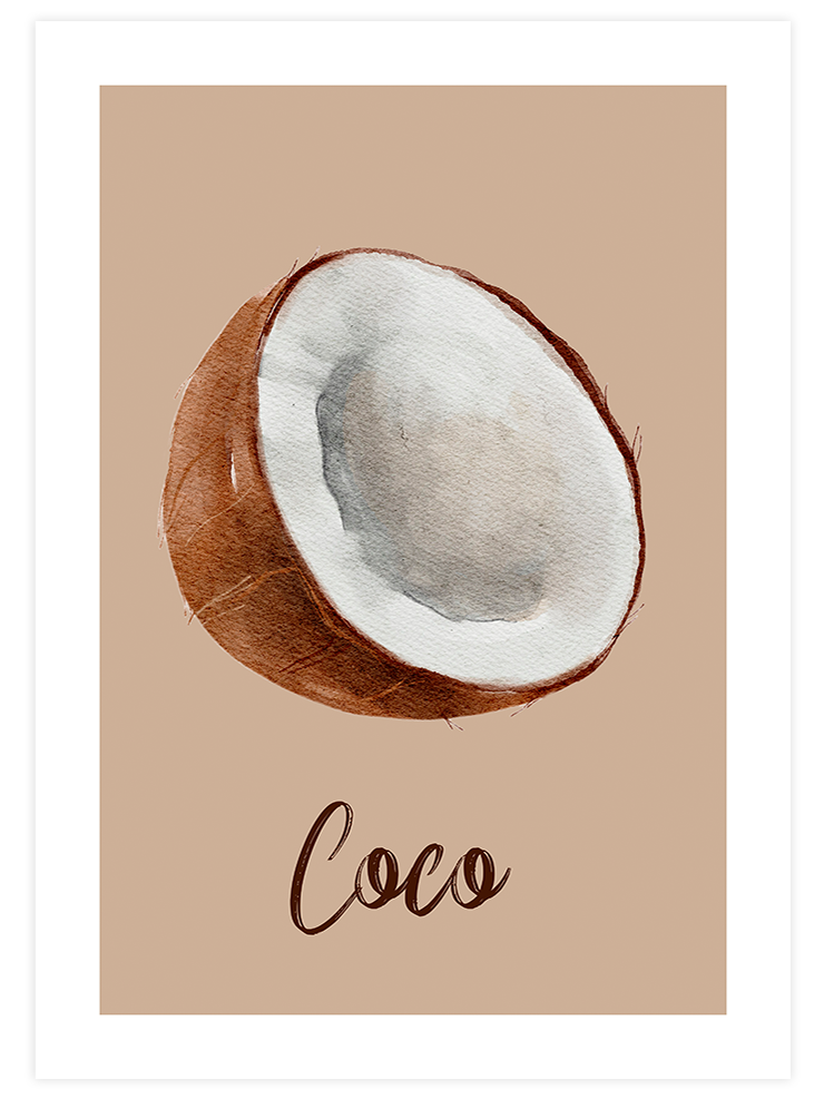 Coconut - Art Print Ürün ana görseli