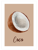 Coconut - Art Print