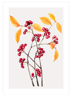 Dalında Meyve - Art Print