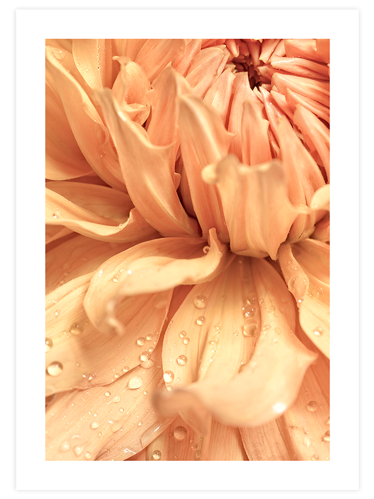 Damlalar - Art Print Ürün ana görseli