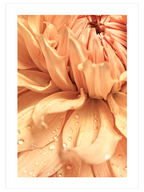 Damlalar - Art Print