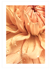 Damlalar - Fine Art Poster