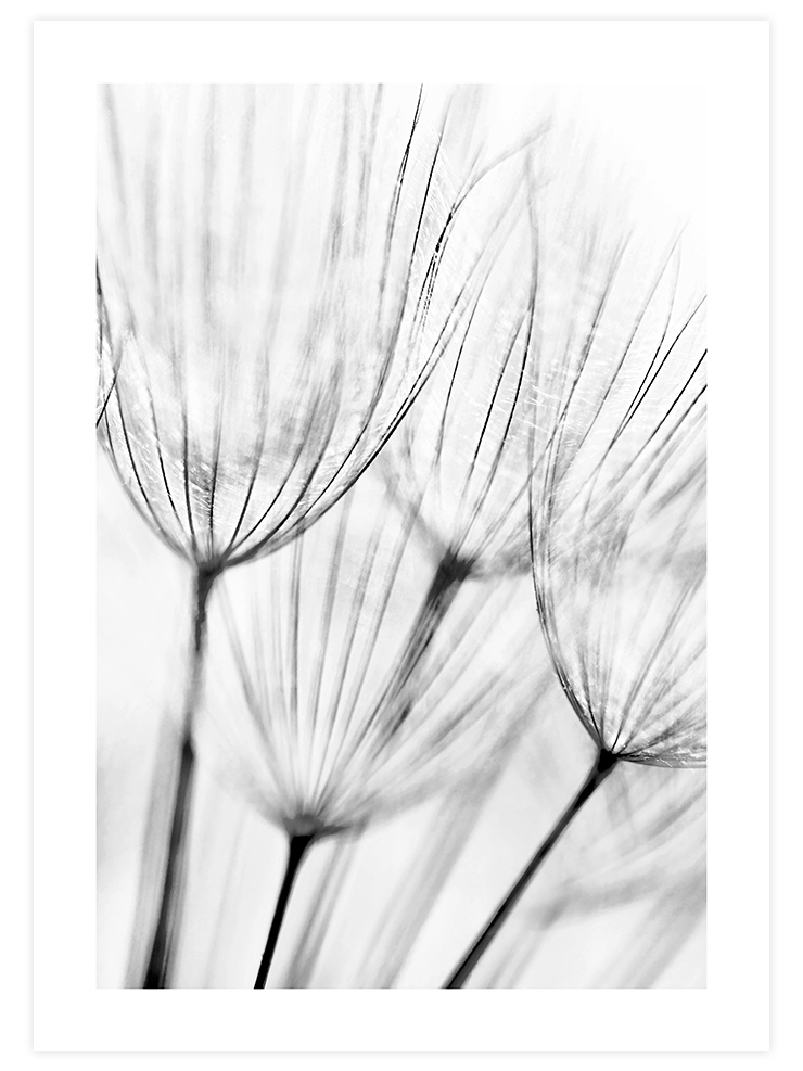 Delicatesse - Art Print