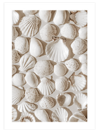 Deniz Kabukları - Art Print
