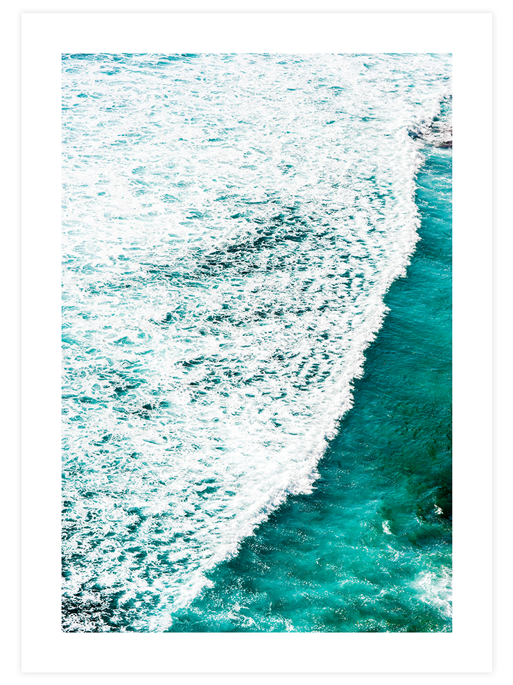 Deniz Köpüğü - Art Print