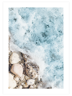 Deniz Köpüğü N2 - Art Print