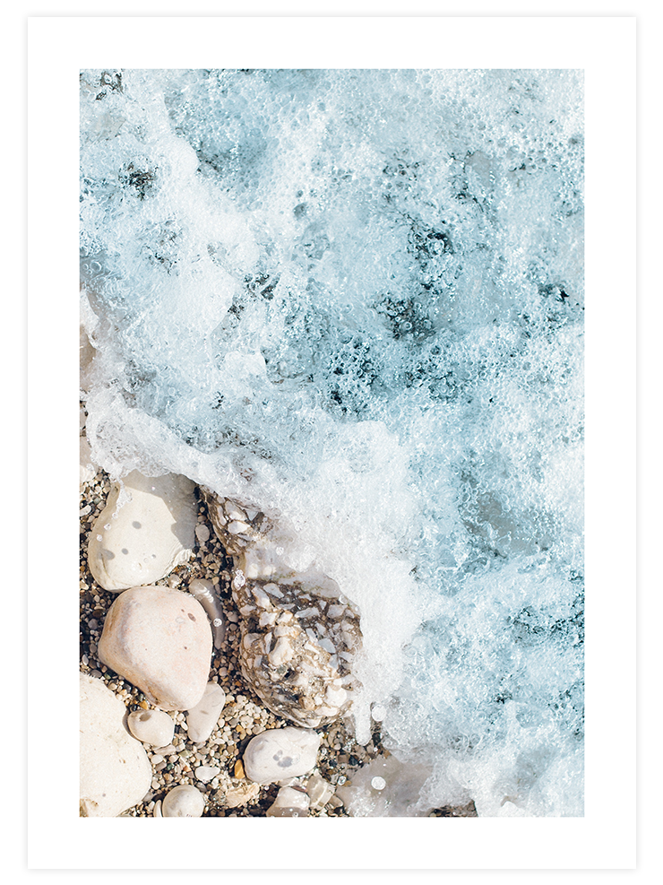 Deniz Köpüğü N2 - Art Print Fotoğraflar Poster