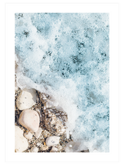 Deniz Köpüğü N2 - Art Print