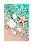 Deniz Yıldızı - Art Print