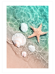 Deniz Yıldızı - Fine Art Poster