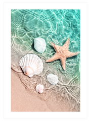 Deniz Yıldızı Poster - Giclée Baskı
