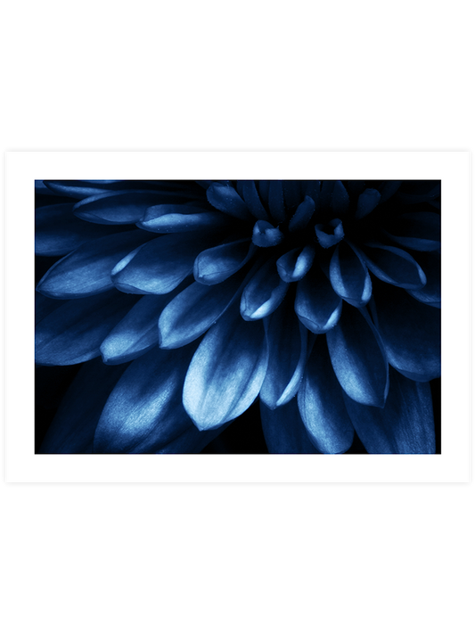Derin Mavi N2 - Art Print