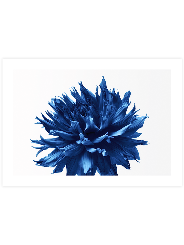 Derin Mavi N3 - Art Print