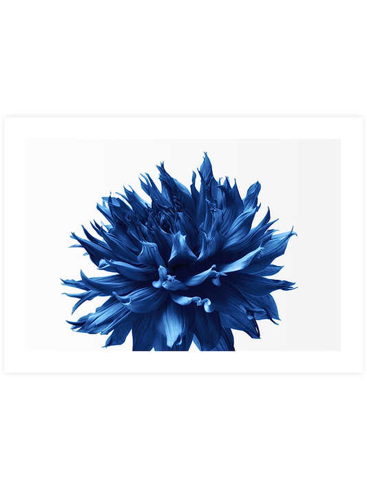 Derin Mavi N3 - Art Print
