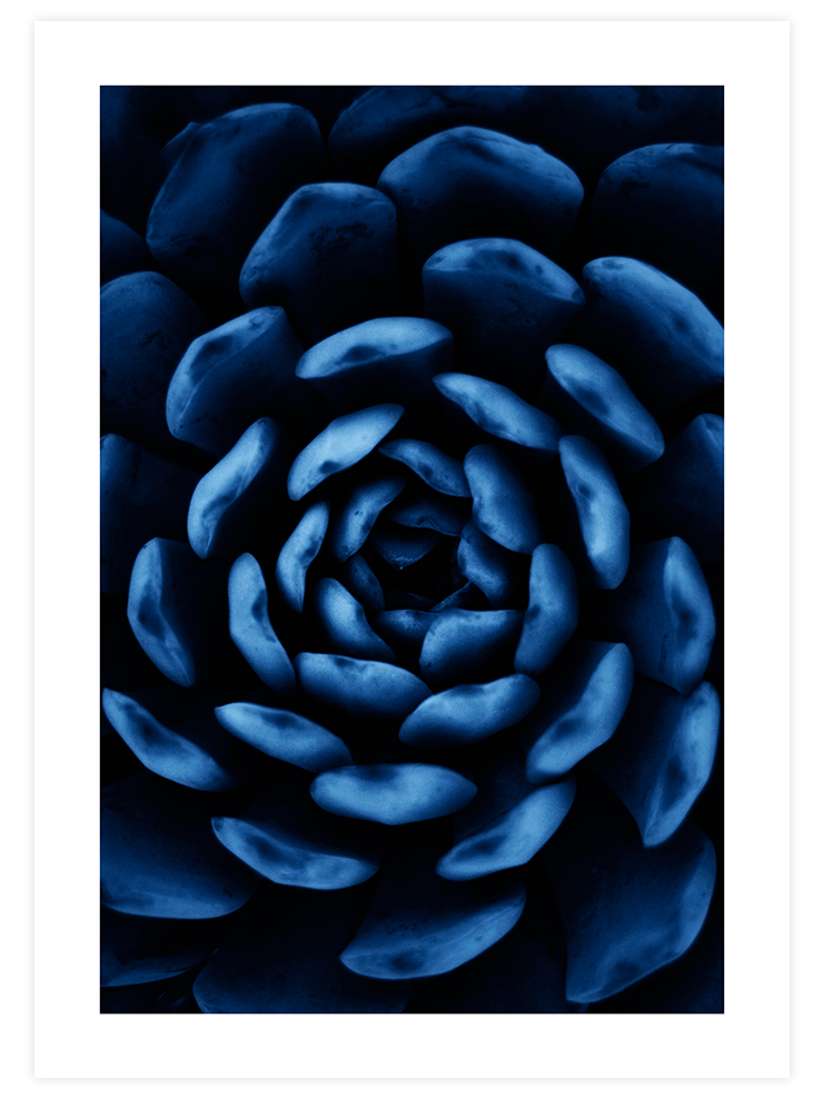 Derin Mavi N6 - Art Print Ürün ana görseli