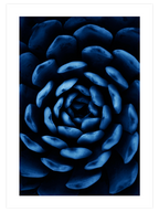 Derin Mavi N6 - Art Print