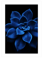 Derin Mavi N5 - Art Print