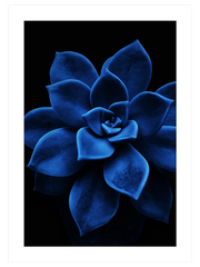 Derin Mavi N5 Poster - Giclée Baskı