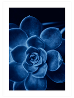 Derin Mavi - Art Print