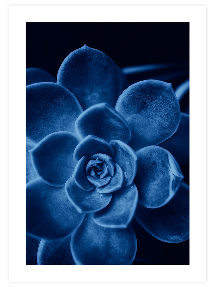 Derin Mavi - Art Print