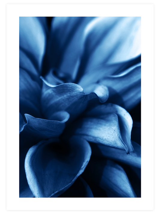 Derin Mavi N4 - Art Print