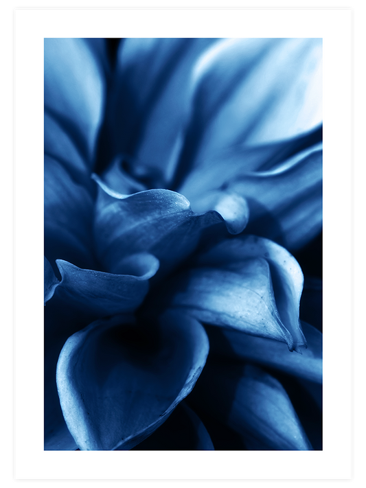 Derin Mavi N4 Poster - Giclée Baskı