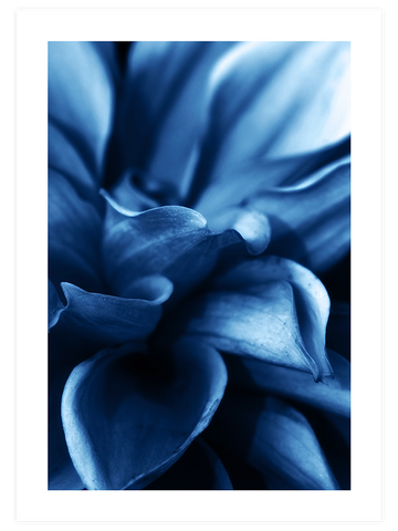 Derin Mavi N4 - Art Print